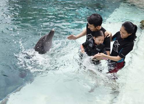 ドルフィンアイランド_ディスカバリー